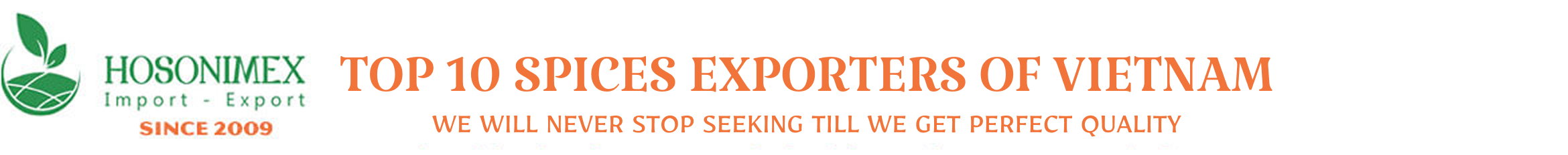 Một trang web mới sử dụng WordPress